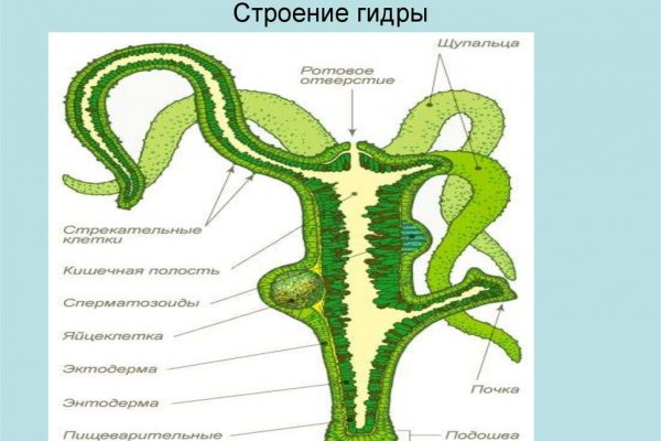 Кракен сайт krknwebs