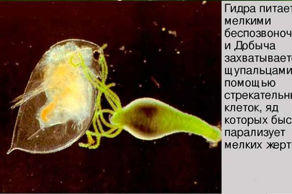 Кракен продает наркотики