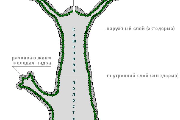 Зайти на кракен через браузер