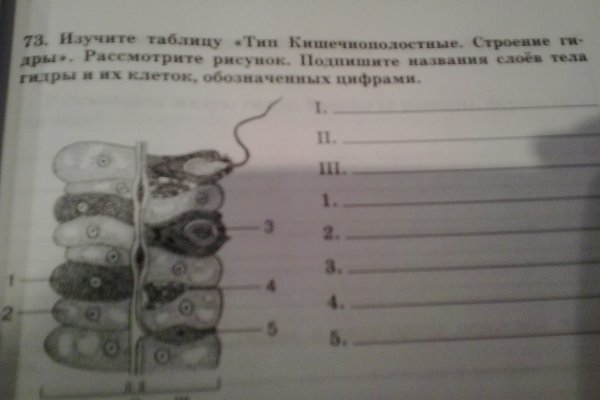 Кракен ссылка в тор