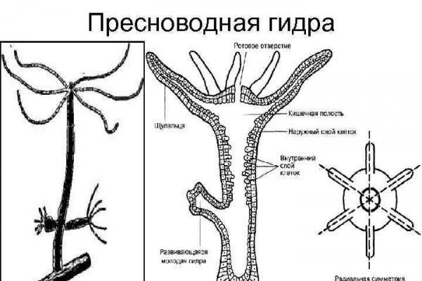 Кракен даркнет войти